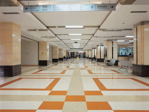 DQ-21环氧艺术地坪